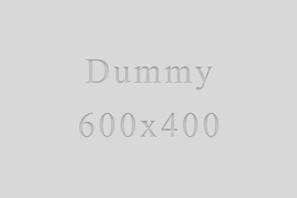 ダミーダミーダミーダミーダミー test demo